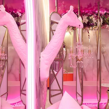 High Granaria Wild & Pink By Downtown גדנסק